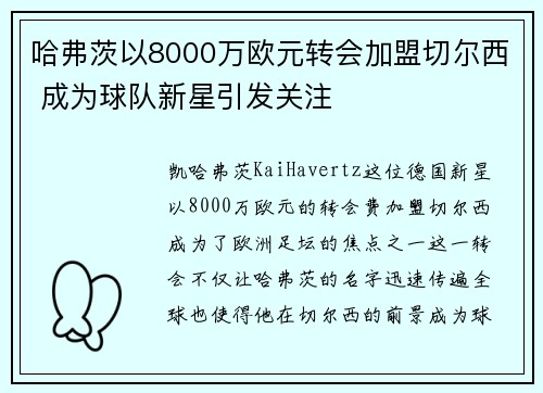 哈弗茨以8000万欧元转会加盟切尔西 成为球队新星引发关注 哈弗茨以8000万欧元转会加盟切尔西 成为球队新星引发关注